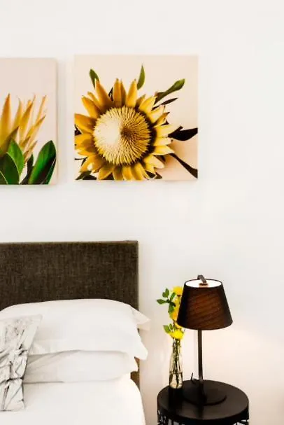 Hamlet New Quiet Central Live Like A Local Cape Town Holiday home
