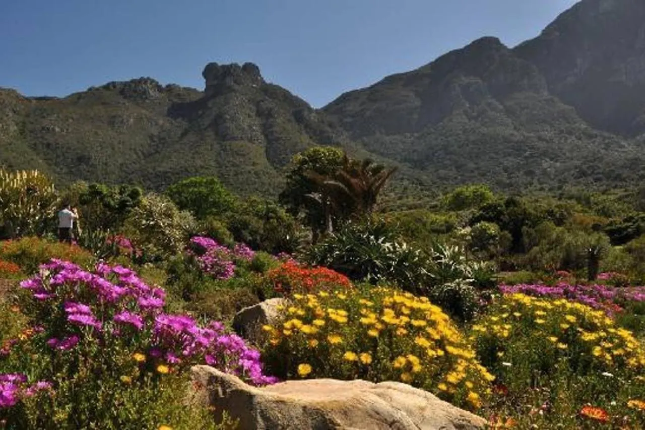 Hamlet New Quiet Central Live Like A Local Cape Town 0*,